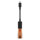 AudioQuest Dragonfly Copper USB DAC - connector and DAC connected