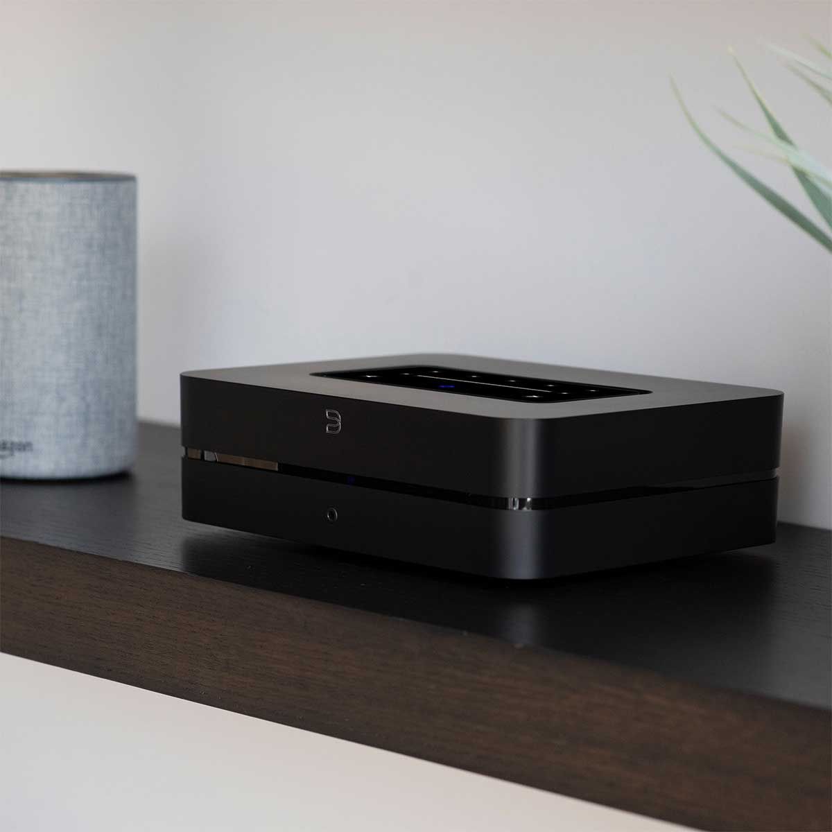 Bluesound PowerNode Wireless Music Streaming Amplifier, Black, front angle beside Amazon Alexa Speaker
