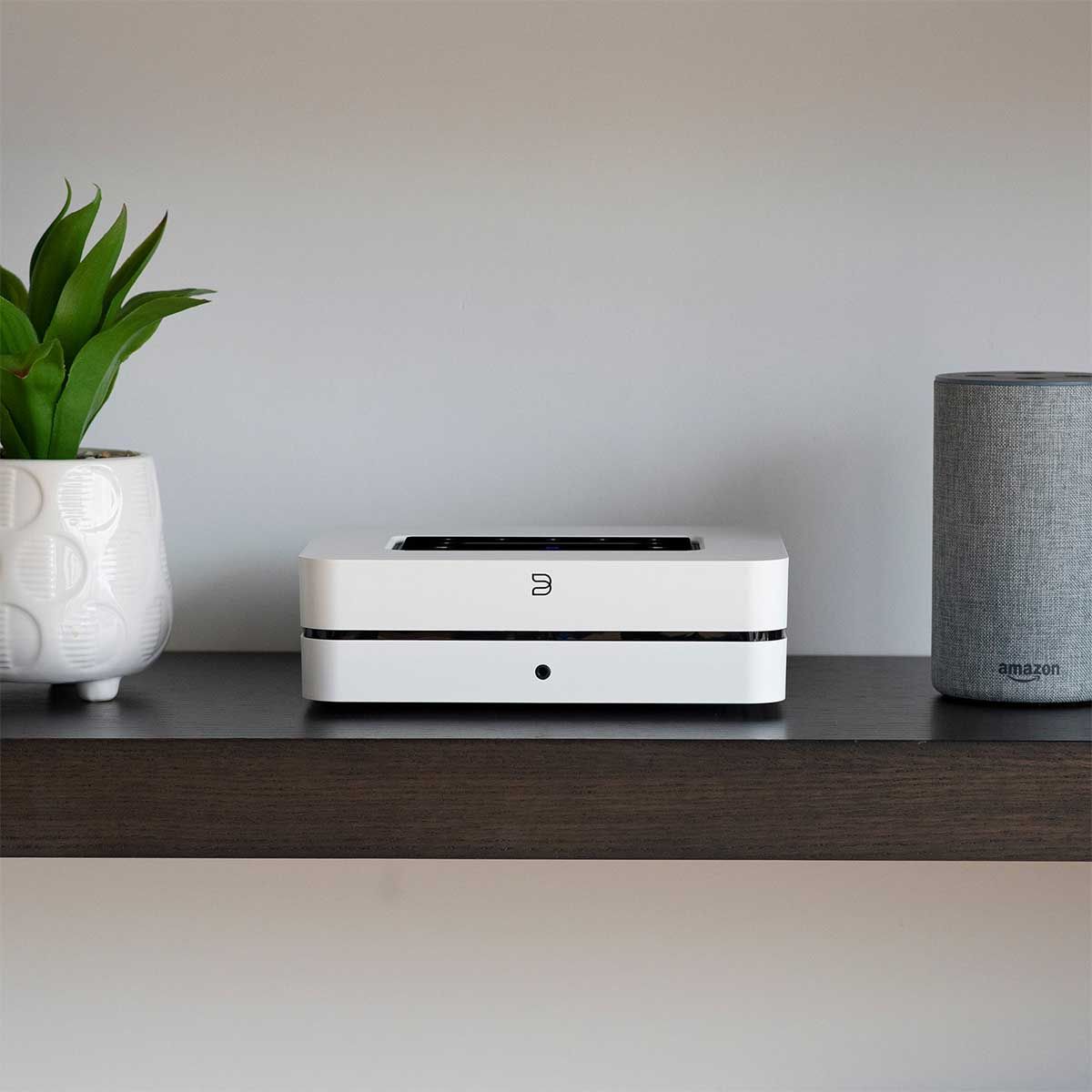 Bluesound PowerNode Wireless Music Streaming Amplifier, White, on dark wood shelf between a plant and Amazon Alexa speaker
