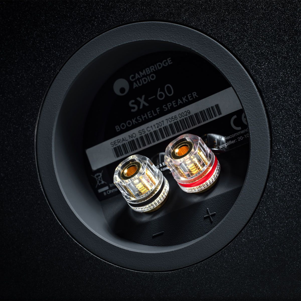 Cambridge Audio SX-60 V2, Back Detail