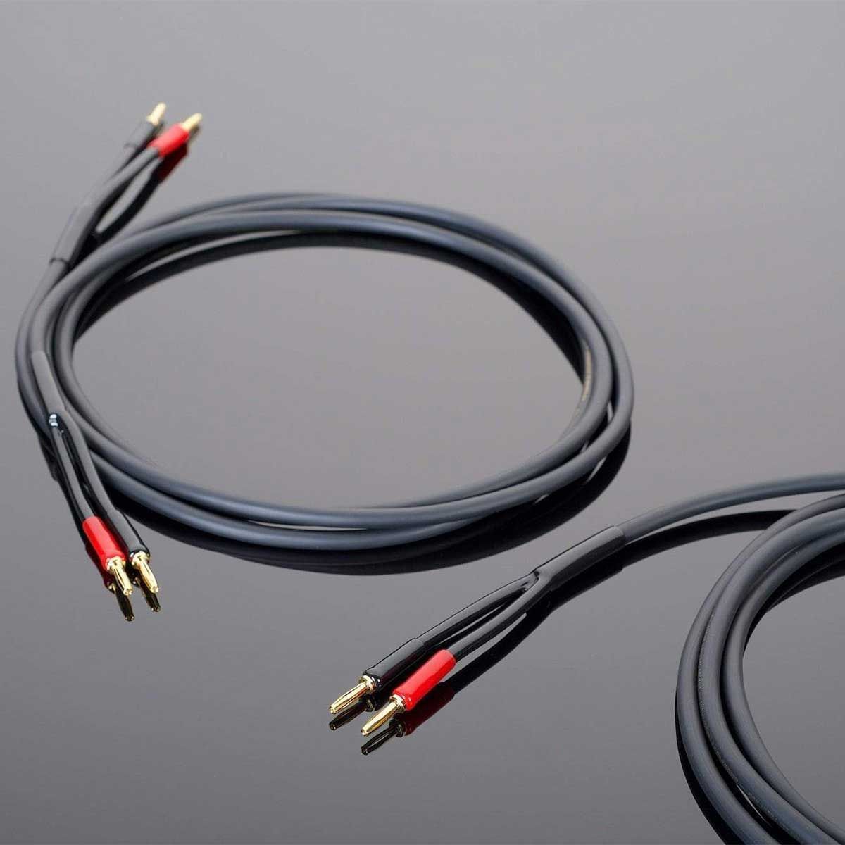 Transparent Hardwired Speaker Cable