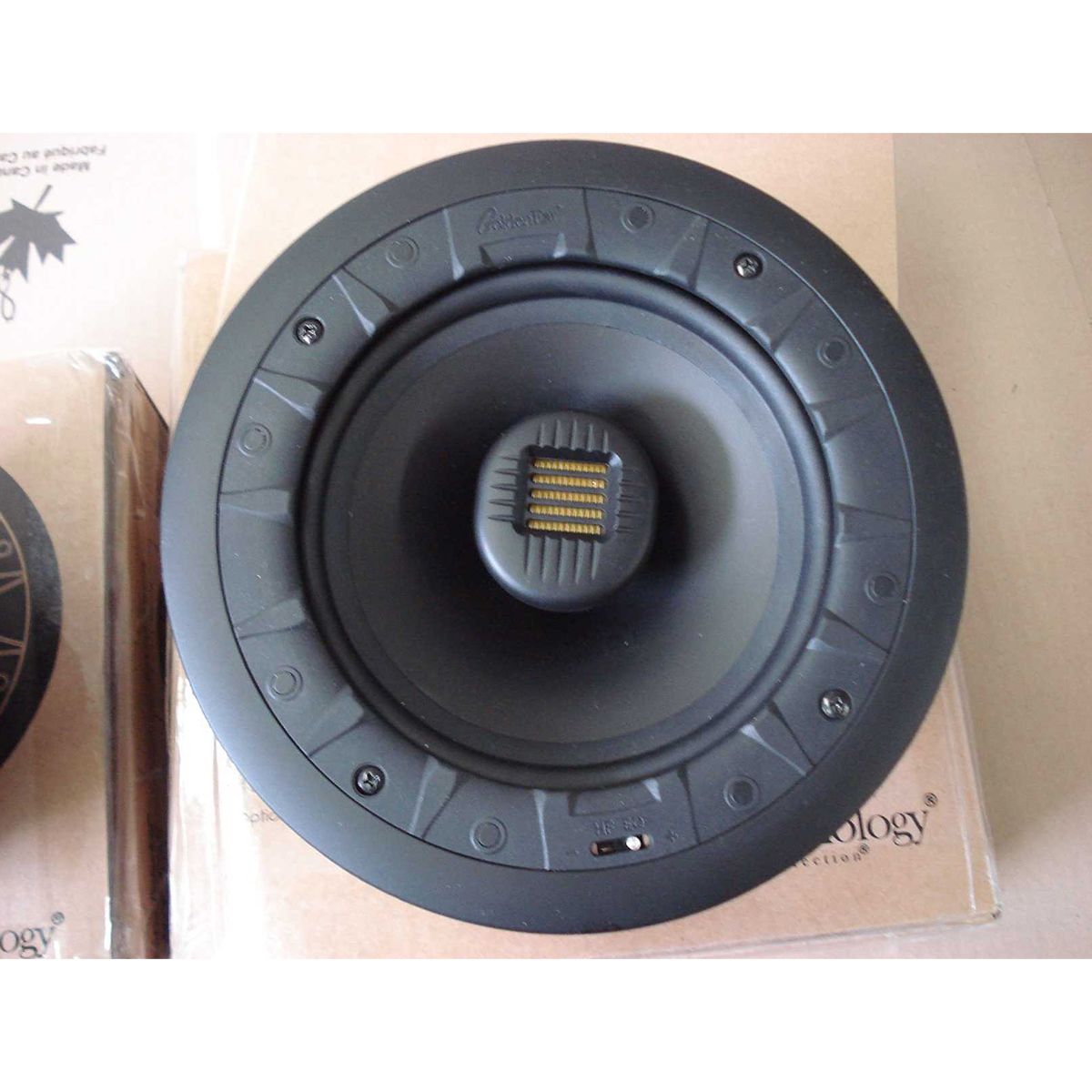 GoldenEar Invisa 650 In-Wall/In-Ceiling Loudspeaker