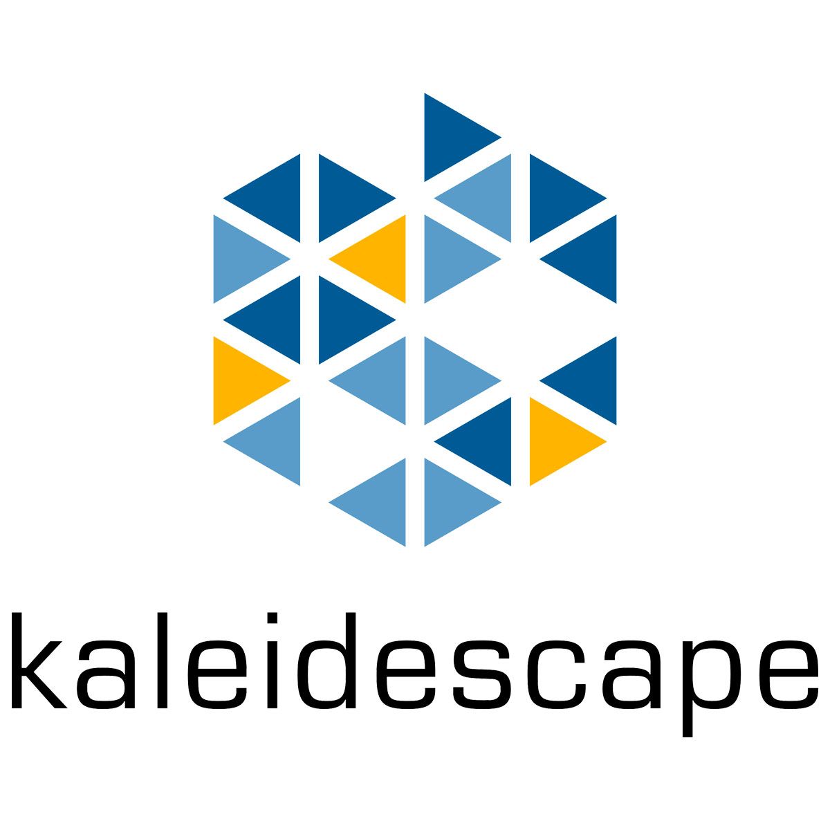 Kaleidescape 6TB Disk Cartridge - Add-on for Terra Server logo