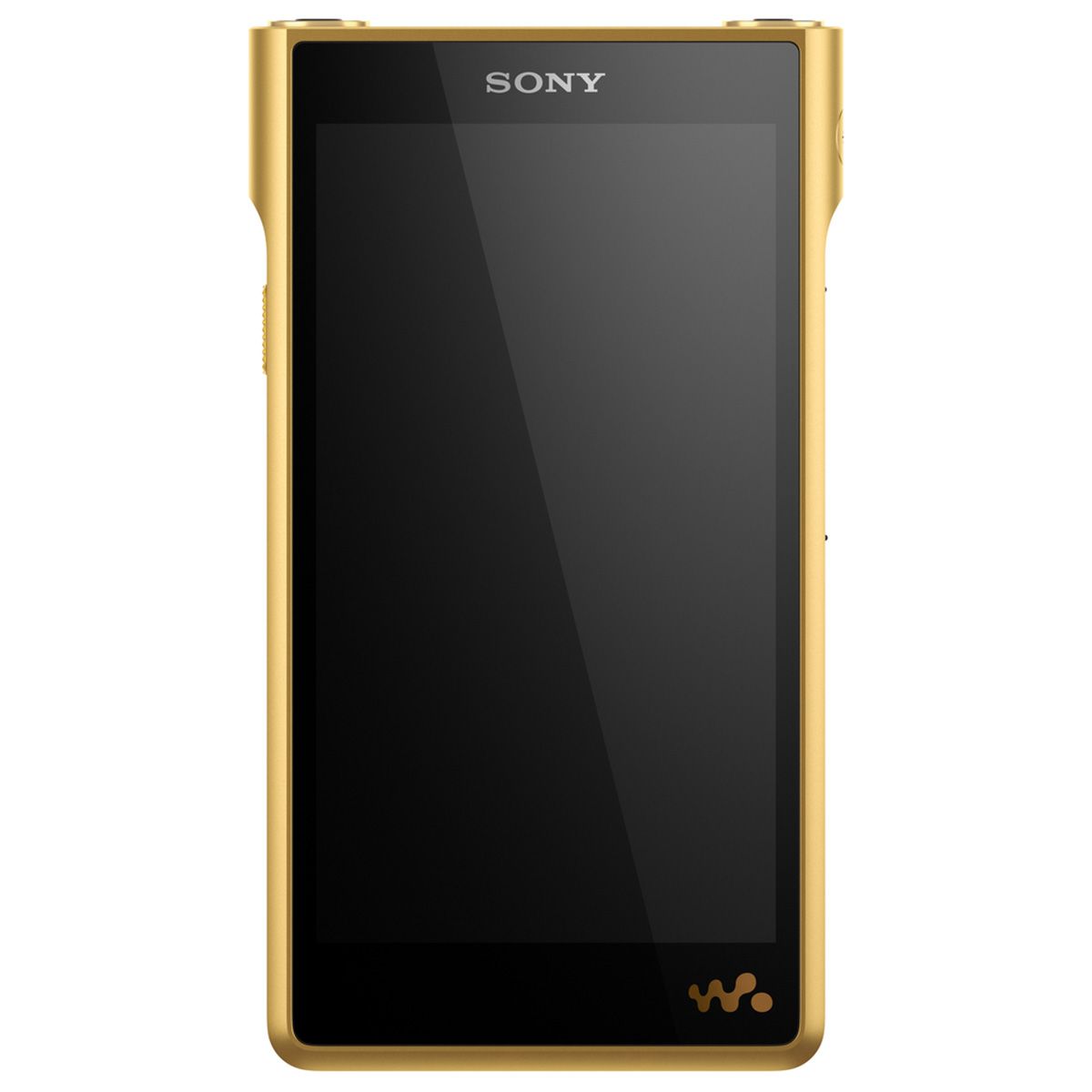 Sony Walkman WM1ZM2 - Signature Series Digital Player - Android 11 - front view with blank screen