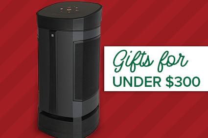 2023 Top Gifts Under $300