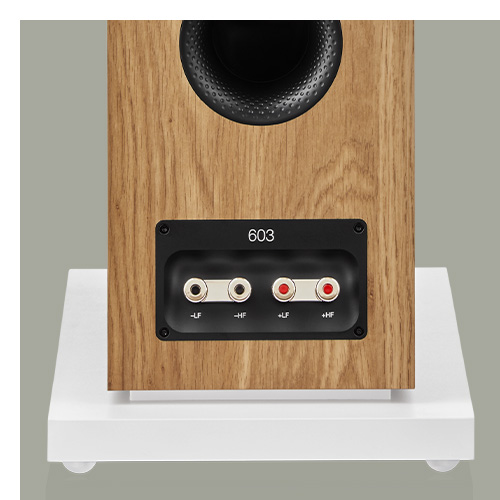 Rear photo of oak 603 S3 showing upgraded speaker terminals