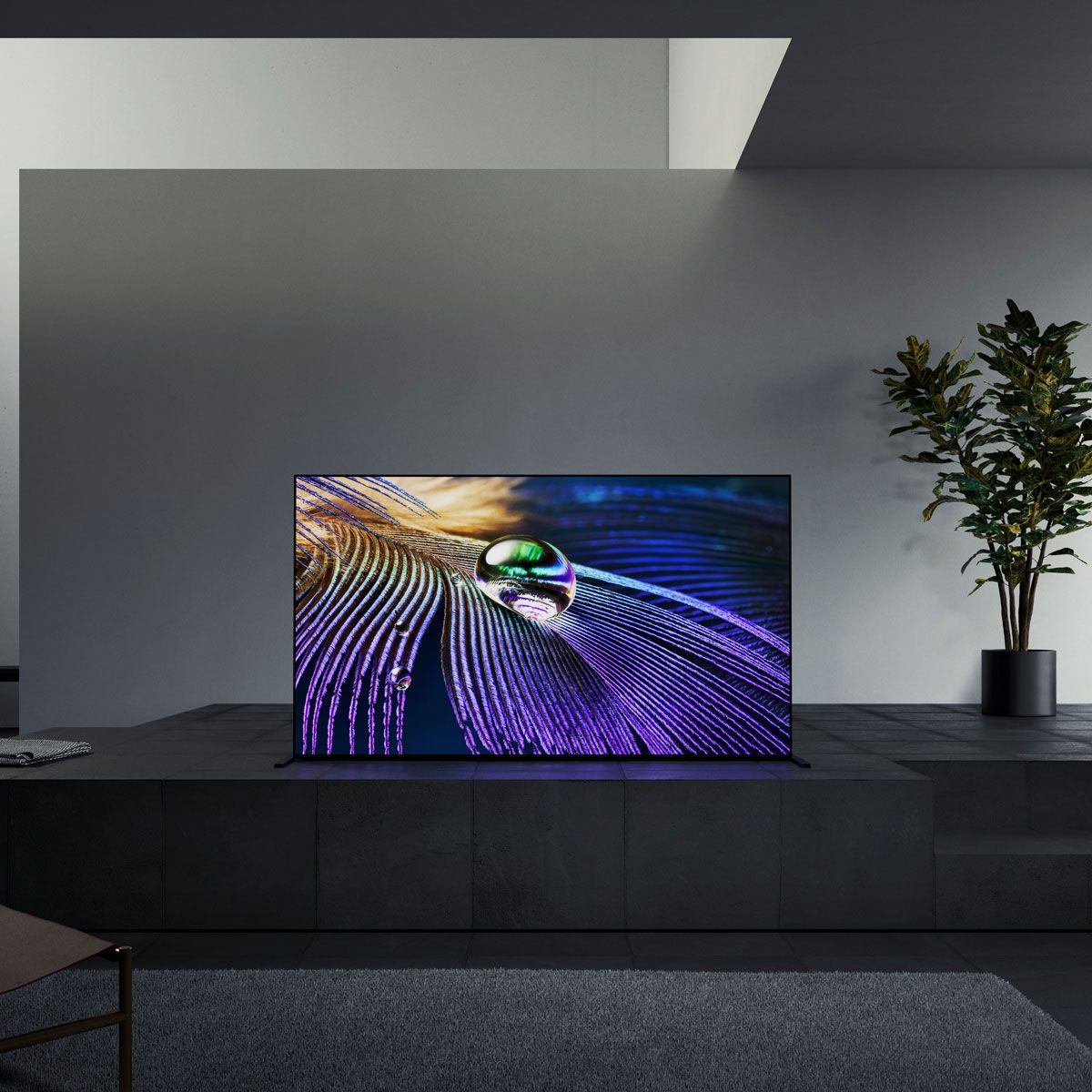 Sony A90J Television on Stand