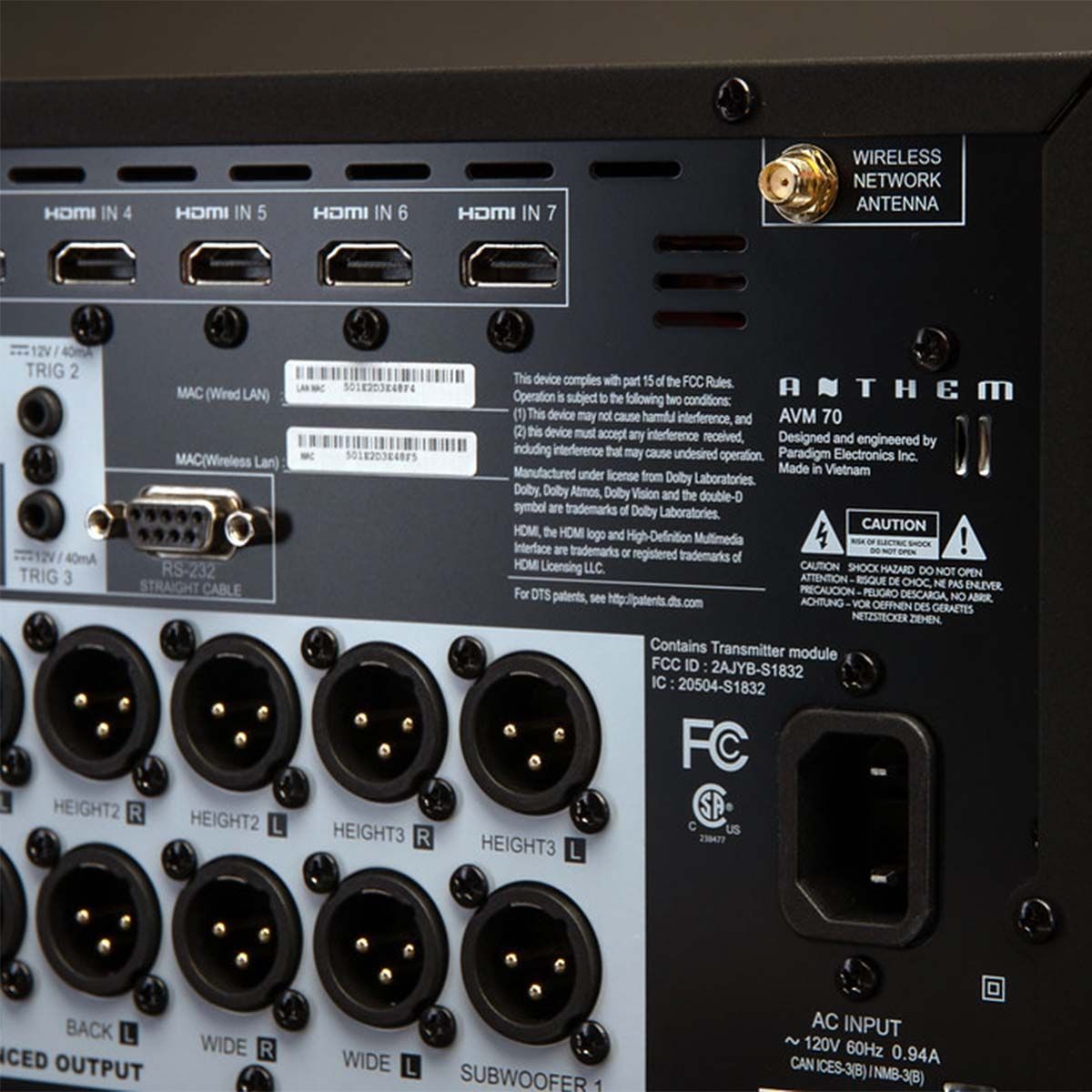 Anthem AVM 70 Processor, detailed rear panel view