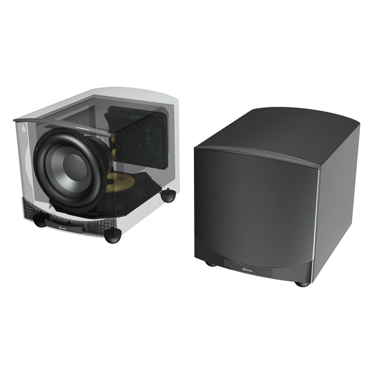 GoldenEar ForceField 40 - 10” Compact Subwoofer - Black - transparent view