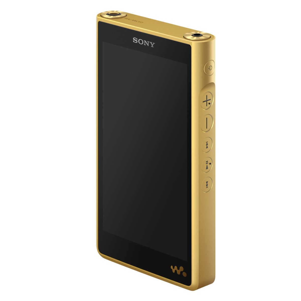 Sony Walkman WM1ZM2 - Signature Series Digital Player - Android 11 - angled front view with blank screen