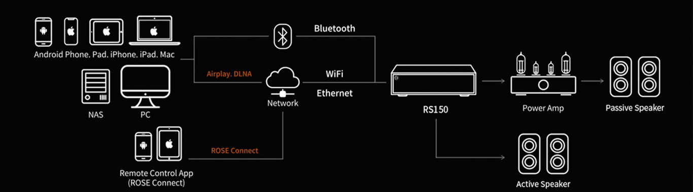 Graphic image showing all the connection options for the HIFI Rose RS150 Network Streamer.
