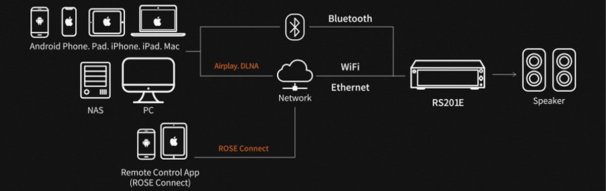 Graphic image showing all the connection options for the HIFI Rose RS201E Network Streamer.