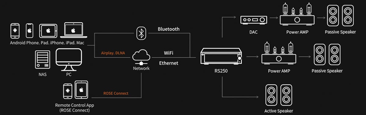 Graphic image showing all the connection options for the HIFI Rose RS250 Network Streamer.