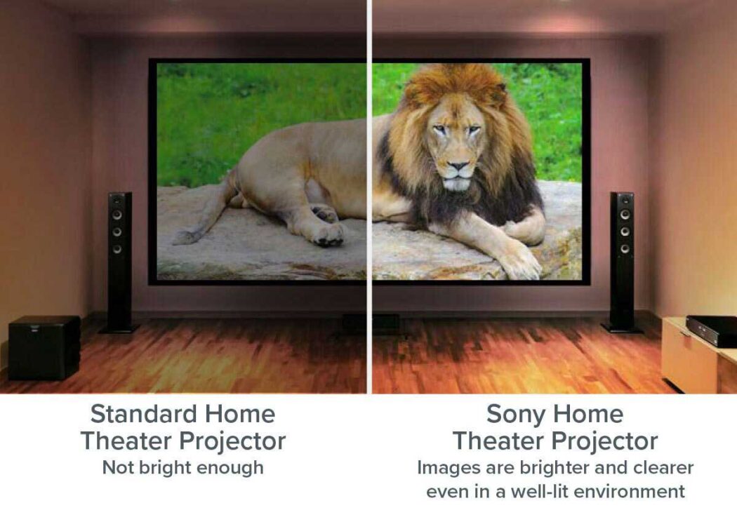 Standard vs Sony image
